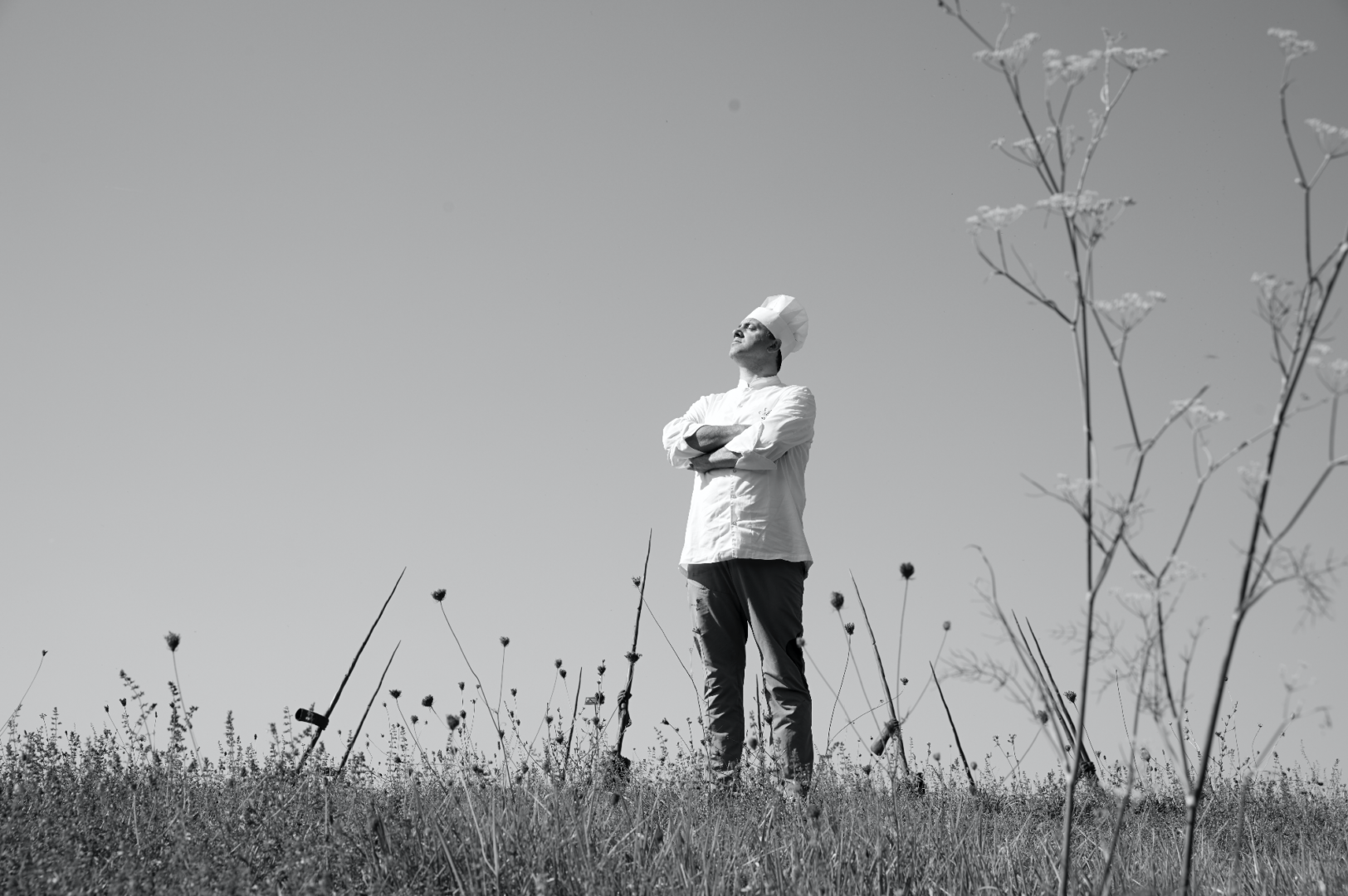 Roberto Rossi | Discover Montalcino